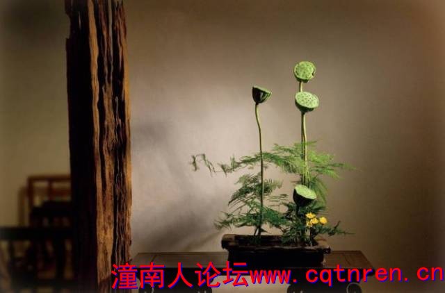 1723d869f493b8b04ec80e5104e8e49a.jpg