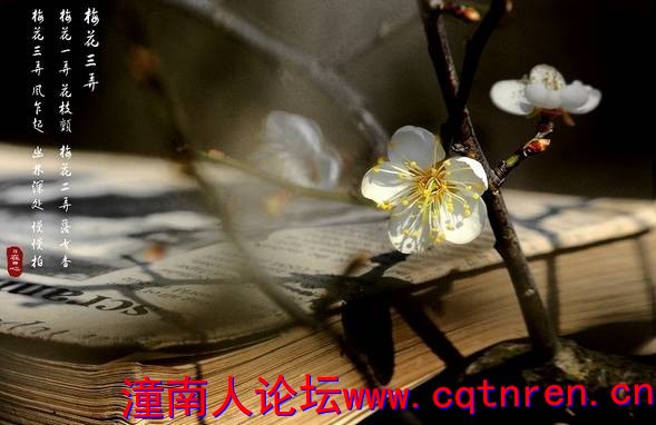 f3a6cf1c876b856421a7b26c19fbc018.jpg