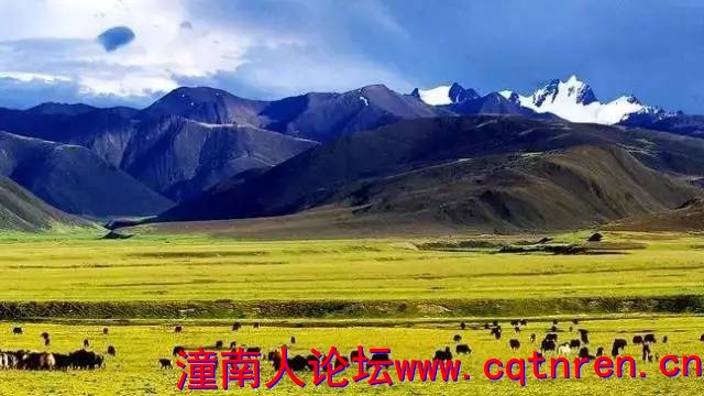 dfdc062ac08448d7863c387475db6755.jpg