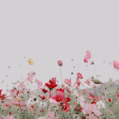 cf552b2c35254034b76671fb035c4d21.gif