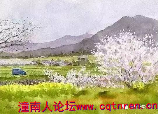 a25082c8590b8a80df85e3df5ff546fb.jpg