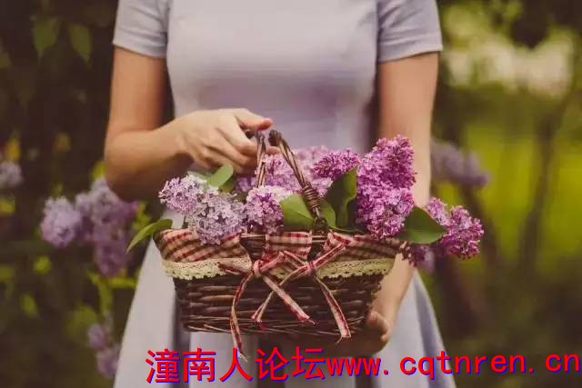 e8b008a705fe173a08e669fe9d2793c5.jpg