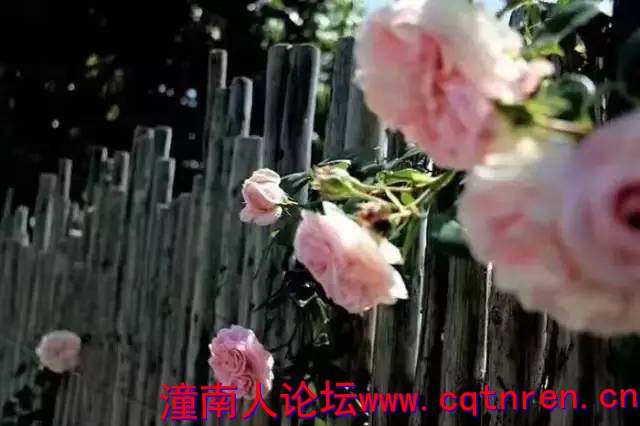 adb19af427564670ad908763293a8685.jpg