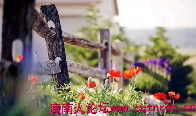 c79da6a7a2398058ebe0948b131e8b3f.jpg