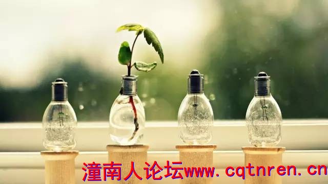 1cf297cdf48cde0a69974e487a25d91c.jpg