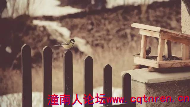 a39d8ebcc292bb6ff2bacb2aed7b72b7.jpg