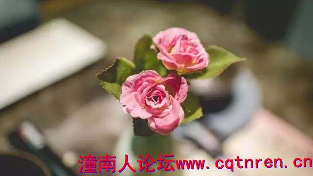 4074cffb906b5f4312869b4159cba844.jpg