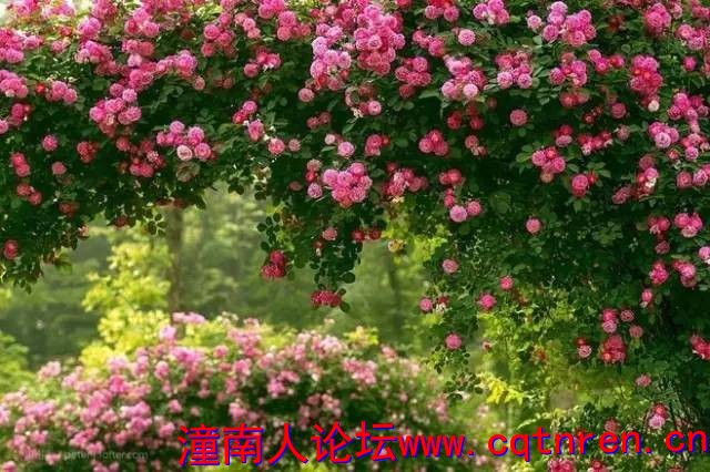 6799374d25acafda8a589e15fd98a93b.jpg