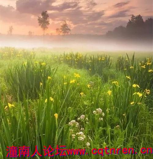 ab11161a2737e7db7ca72ed7c0a4036a.jpg