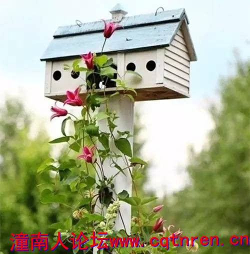 b97dbb363229c2a360a3d9280cdb1444.jpg