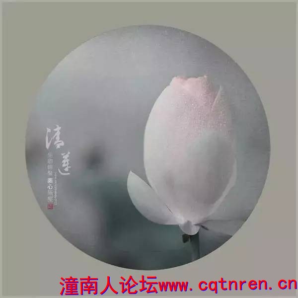 ef20c527e7437f890a5c0609fd60cb60.jpg