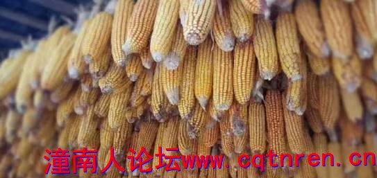d8b1c9763fe4a463156b15adfd8f7e05.jpg