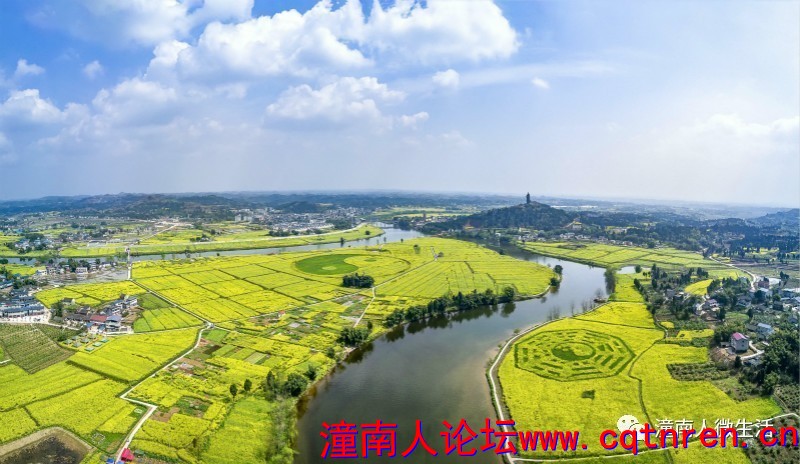 2492f60de7e9808c6ef958a61fbf579c.jpg
