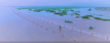 5eaa545171403e9783426a9cbc217fd8.gif