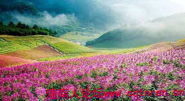 55863354f00e5eec1957df40384fb09a.jpg