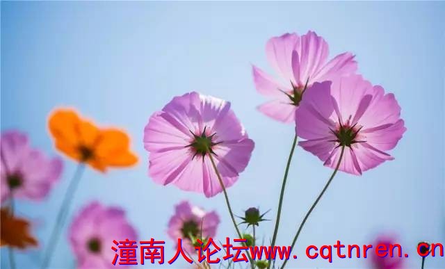 a022419a201274ae7302b2f91e0ab1eb.jpg
