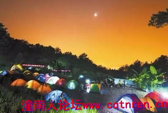 da936677757bd9d1b79fc5d19161ca02.jpg