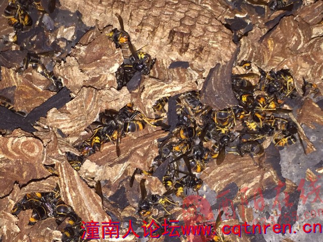 a3bb128c305e4dd2c24757e968c07c8e.jpg