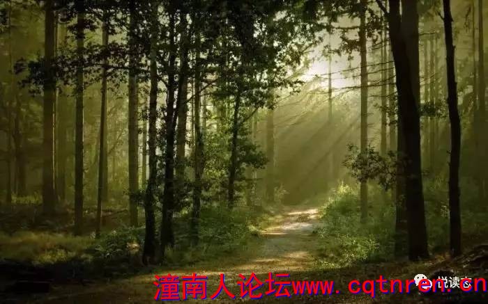 44604a88556c1cd90d06f046913a508d.jpg