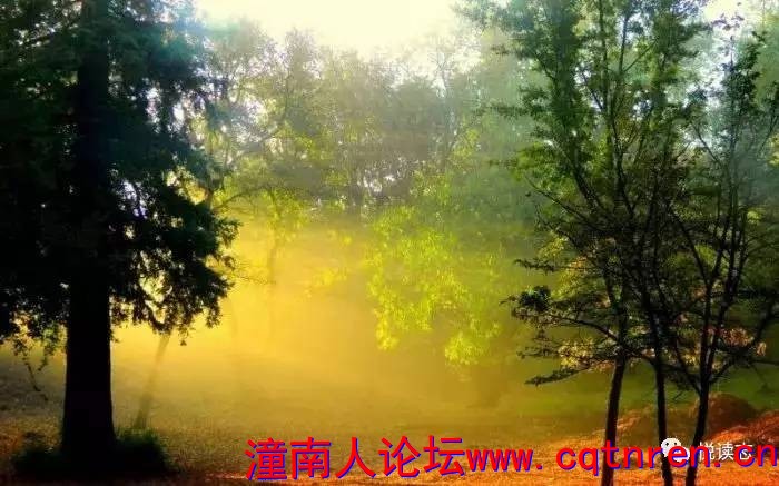 5f27a990e71c28bf23d74173a37a727c.jpg