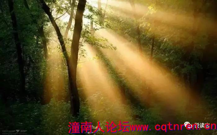 588dd9e20cf8c7549d25ad6016b79f80.jpg