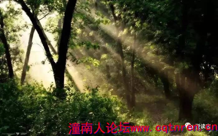 4fe7fb54a54ed092443bfe21d83198f8.jpg