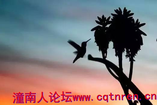 4de7d132f5cbee8a928206687892effd.jpg