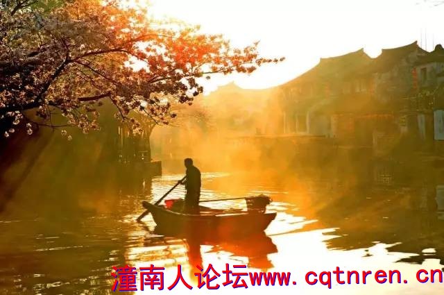 1c10f7ababecef46604e2e8a0a623651.jpg