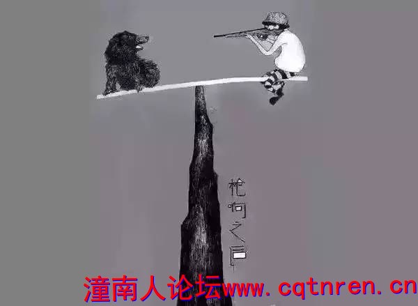1efe64c9f04b96abde5c7945899412ef.jpg