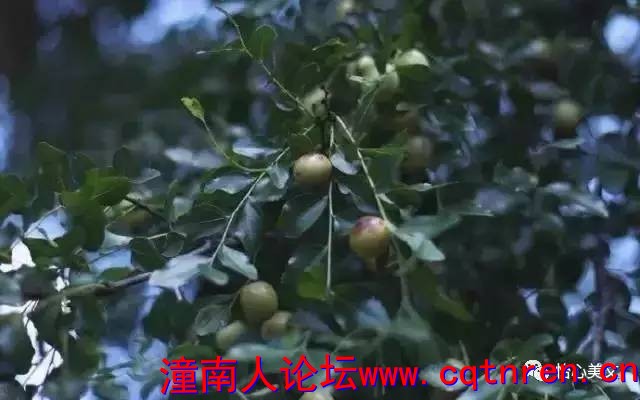 ede4a3ae3c26d54474015cb457377a10.jpg