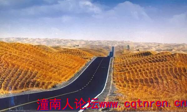 d876570c45203e9f8c768e4342665fe7.jpg