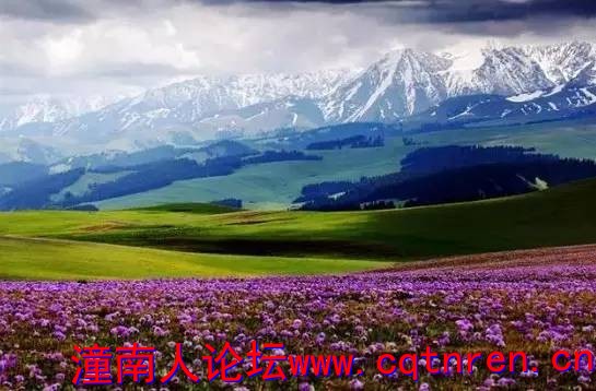 2206d9b408ba43af12534e02cf85be10.jpg
