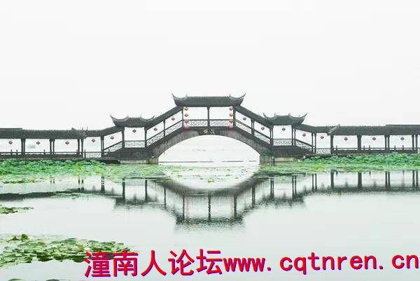 db64281ded29a833f060258d36b13032.jpg