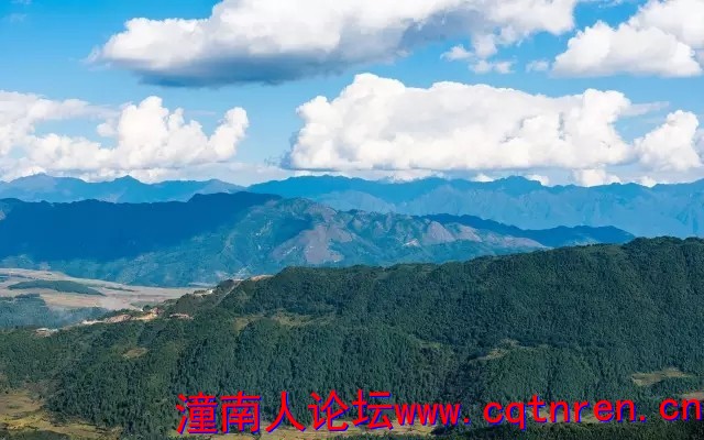 1673deee3f5077d7b10f3b1d0416da99.jpg