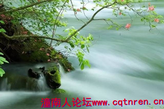 63973ed80612781cefe630e9f11653f6.jpg