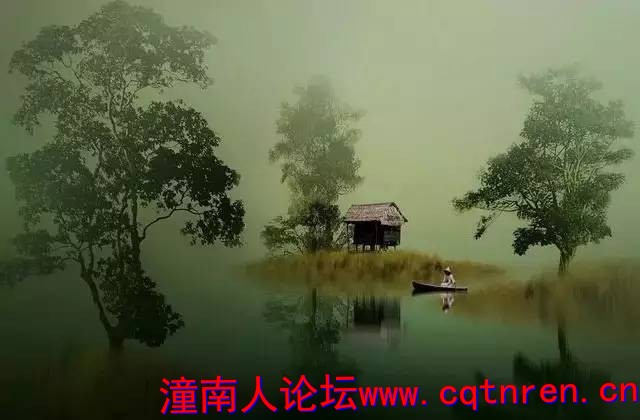 8385d28aa166d18ecf9f57542f915e49.jpg