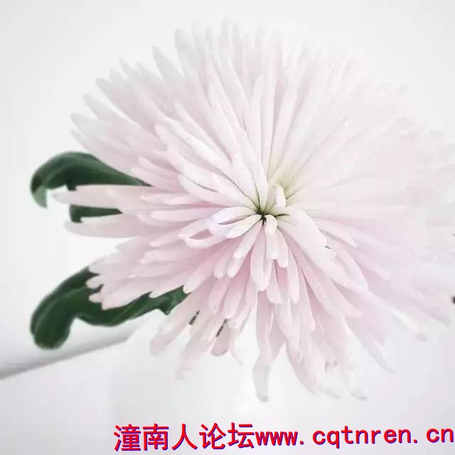171943b1a92f4e69f6622b6853657b97.jpg