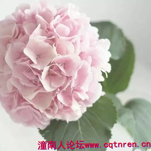 e015d4ffbc0c4e33cfb1a125339c3124.jpg