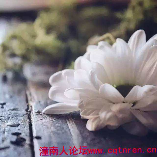 e323b9614e4ce7f64d716bd8ae793b69.jpg