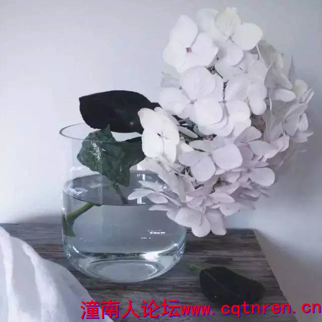 7dc9f976e040a68a019fc4921ea3cd7a.jpg