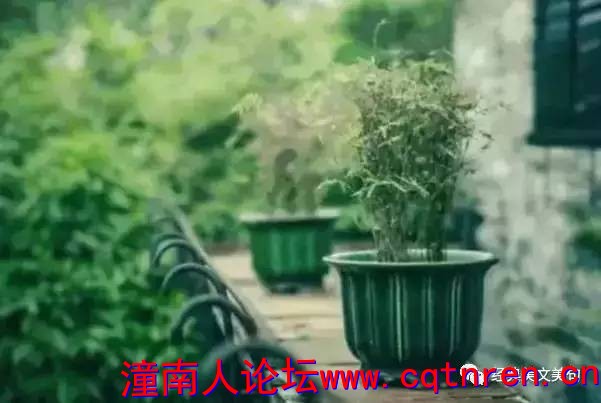 5642b3158a51f41cd8616bbe5f3f7044.jpg