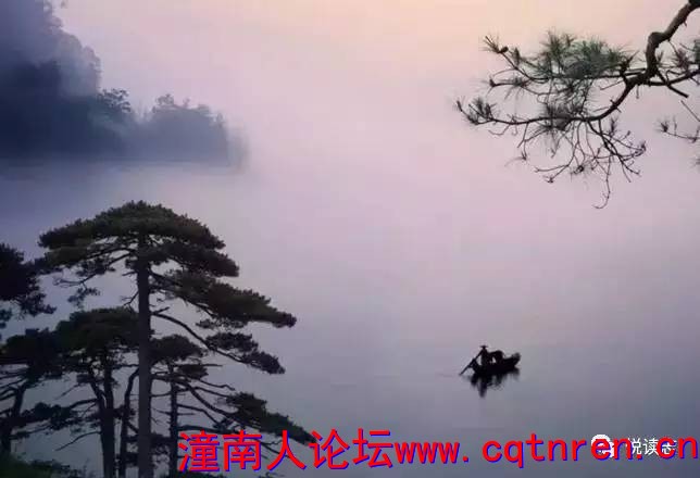 8d16445105aa8ac72d24f9a9177fe526.jpg