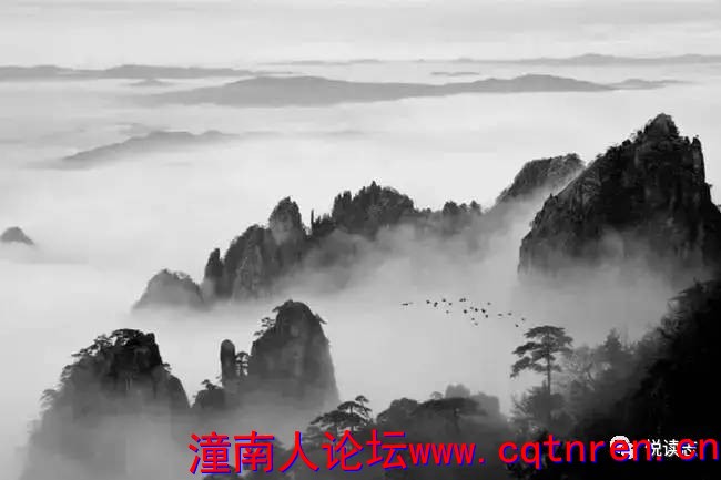 6a398299a1ed6c98a1eccd6b28cdec00.jpg
