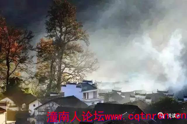 e98f528af2b68dbc7542b83494790de0.jpg