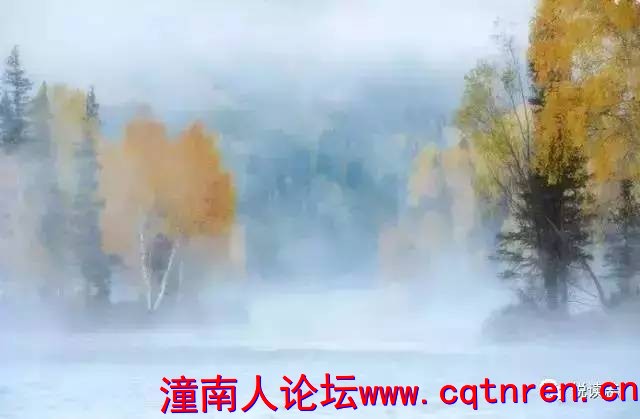 71fef034ba4ccb4d023a4bc56e92e83b.jpg