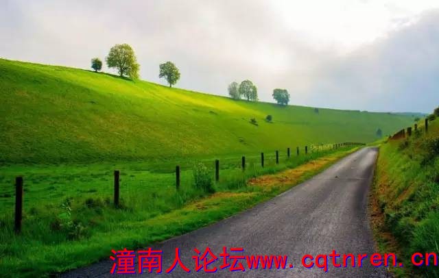 4d5ed026dac2a798f47c65a40dc84fda.jpg