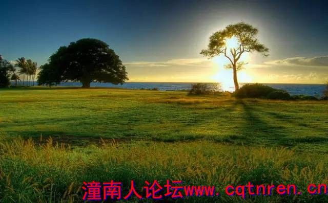 c122cc9fbf954883577c00be89ed8dd8.jpg