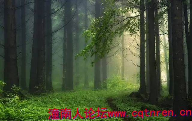 89e12a5e4763c4fb15885a9630399d27.jpg