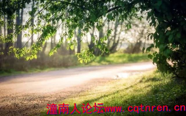 d469fac71dfc076000fc9c6b0042a856.jpg
