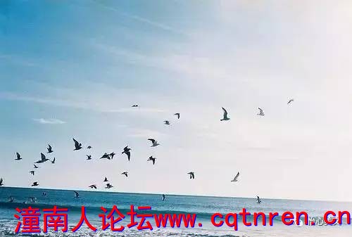 1e4a8eec4f1b559b958046da4c692867.jpg